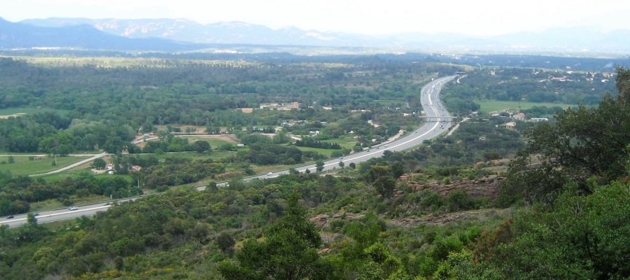 SYMBIODIV Votre bureau d'études et de conseils en écologie Notre bureau d'études valorisation SYMBIODIV SCOP humain expertises naturalistes études réglementaires conseils conseil communication bureau d'études Brignoles biodiversité BE associé accompagnement ciblé accompagement personnalisé SYMBIODIV Votre bureau d'études et de conseils en écologie valorisation SYMBIODIV SCOP humain expertises naturalistes études réglementaires conseils conseil communication bureau d'études Brignoles biodiversité BE associé accompagnement ciblé accompagement personnalisé