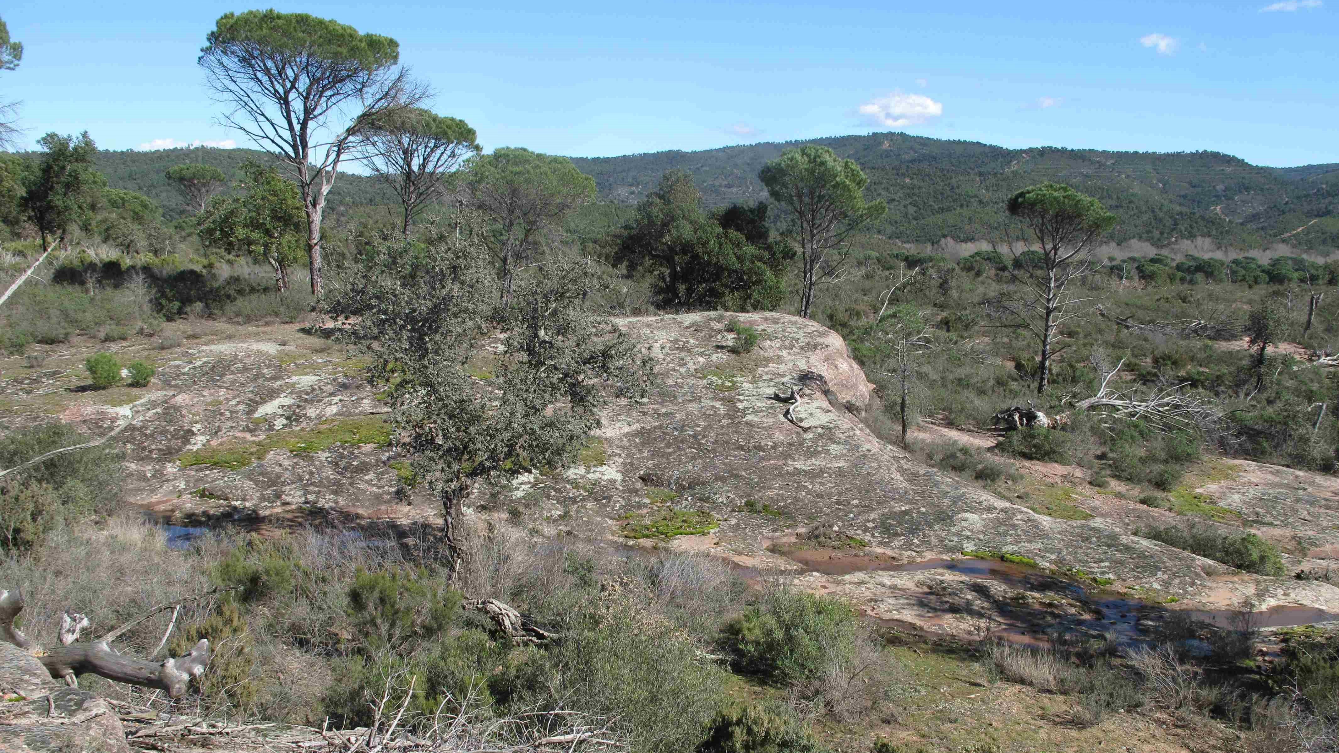SYMBIODIV Votre bureau d'études et de conseils en écologie Provence photos photo paysages paysage PACA milieu naturel biodiversité 